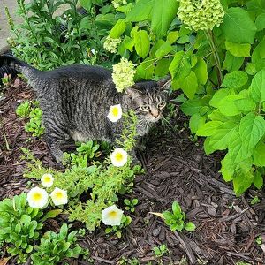 Fundraising Page: Barb Boyd